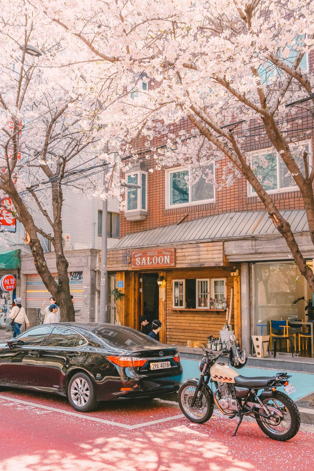 hanvin cheong b 1r1t3sgqe unsplash (2)